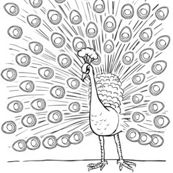 Super Free Printable Peacock Coloring Pages For Kids Peacocks Feathers Sketch Bird Animals Print Drawing