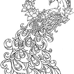 Fantastic Peacock Coloring Page Printable Pages Colouring Tattoo Drawing Drawings Color Adult Peacocks