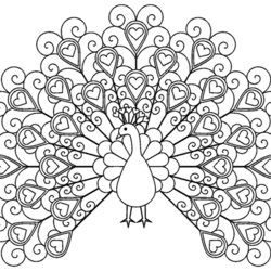 Peacock Coloring Pages For Kids Peacocks Simple Color Children