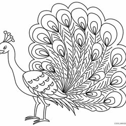 Eminent Printable Peacock Coloring Pages For Kids Drawing Bird Feather Outline Color Sheets Print Children