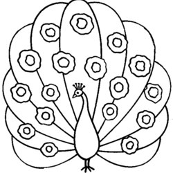 Terrific Free Peacock Drawing To Print And Color Peacocks Kids Coloring Pages Printable Children Adult