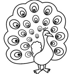Peacock Coloring Pages To Print Peacocks Kids Color Children Beautiful Animals For