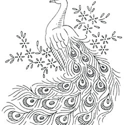 The Highest Quality Free Printable Peacock Coloring Pages For Kids Color Peacocks Sheet