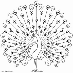 Admirable Printable Peacock Coloring Pages For Kids Drawing Indian Craft Peacocks Drawings Outline Birds Line