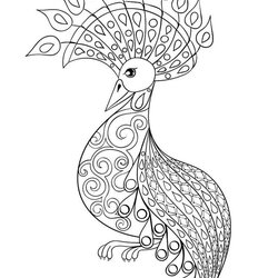 High Quality Peacock Coloring Pages Printable Free Sheets In Bird