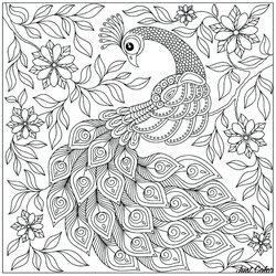 Spiffing Peacocks Kids Coloring Pages Peacock Printable Color Print Children Adult Animals Simple Incredible