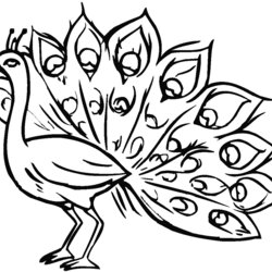 Peacock Image To Download And Color Peacocks Kids Coloring Pages Printable Drawing Easy Children Few Print