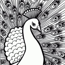 Wonderful Free Printable Peacock Coloring Pages For Kids Colouring Sheets Color Sheet Print Peacocks Simple