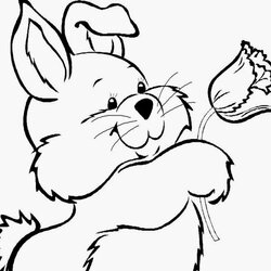 Coloring Pages Cute And Easy Free Printable Easter Bunny Kids Money Print Drawing Clip Colouring Visit Choose