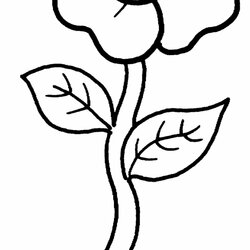 Free Printable Flower Coloring Pages For Kids Best