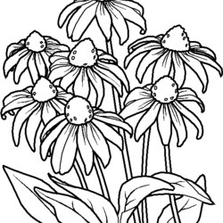 Printable Flower Coloring Pages Page Flowers Color Kids Sheets Line Book