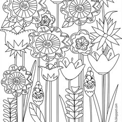 Preeminent Free Printable Floral Coloring Page Freebie Pages Colouring Flower Spring Flowers Sheets Adult