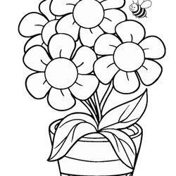Legit Free Flower Coloring Pages For Kids Printable Print Color Craft