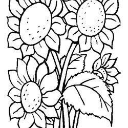 Admirable Print Download Some Common Variations Of The Flower Coloring Pages Stumble