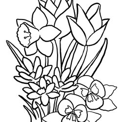 Superior Free Printable Flower Coloring Pages For Kids Best Color Print Pictures To And