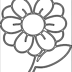 Brilliant Best Flower Coloring Page Template Noddy