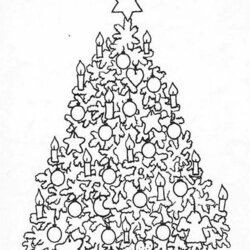 Superlative Coloring Pages Of Christmas Trees Home Tree Color Number Printable Numbers Mosaic Cool Print
