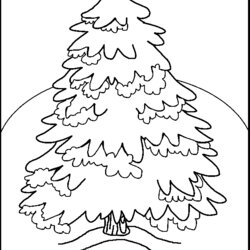 Splendid Coloring Pages Of Christmas Trees Home Tree Drawing Outline Printable Ornaments Pattern Kids