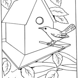 House Coloring Pages Printable Kids Adults Bird Draw Kid Sheets Birds Dementia Colouring Print Patients Boys