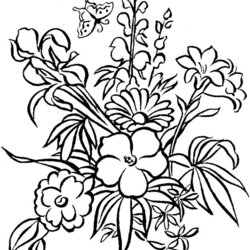 Cool Free Flower Coloring Pages For Adults Page