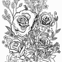 Exceptional Cool Flower Coloring Pages For Adults Home Adult Flowers Printable Roses Sheets Rose Book Books