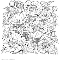 Outstanding Beautiful Coloring Pages For Adults Flowers Flower Printable Adult Print Book Look Other