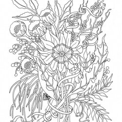 Free Printable Coloring Pages For Adults Flower Learning