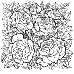 Beautiful Rose Flowers Coloring Pages For Adults Print Color Craft Grown