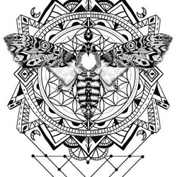 List Of Coloring Pages Geometry Sacred Geometric Zen Moth