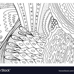 Doodle Pattern Adult Coloring Page Bohemian Vector Image