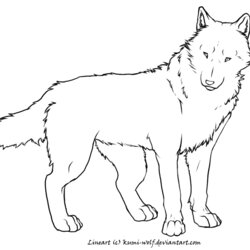 The Highest Quality Realistic Wolf Coloring Pages Home Red Color Adult Drawing Base Animal Cartoon Kids