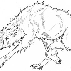 Wolf Coloring Pages For Adults At Free Download Wolves Printable Baby Drawing Color Cool Angry Howling Girl
