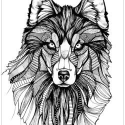 Magnificent Wolf Wolves Adult Coloring Pages Drawing Animals Page