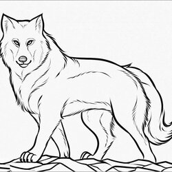 Splendid Wolf Coloring Pages Realistic Page For Adult