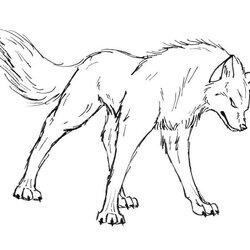 Matchless Realistic Wolf Coloring Pages To Print Home Drawing Angry Wolves Pack Template Printable Color