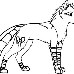 Capital Realistic Coloring Pages Of Wolves At Free Download Wolf Printable Howling