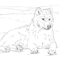 Terrific Get This Realistic Wolf Coloring Pages For Adults Free Printable Fit