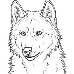 Perfect Wolf Coloring Pages Realistic