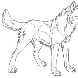 Super Realistic Wolf Coloring Pages To Print Home Arctic Drawing Printable Color Animal Dog Popular Theme