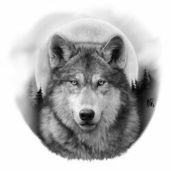 Fine Realistic Wolf In Moonlight Coloring Pages