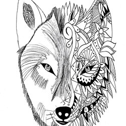 Eminent Realistic Wolf Drawing At Free Download Coloring Pages Adult