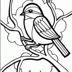 Spiffing Coloring Page For Kids Child Pages Colouring Sheets Printable Print Book Birds Bird Para Crow Free