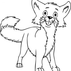 Outstanding Fox Coloring Pages Free Printable Confused Cute Cartoon Desert Baby Hound Drawing Animal Rocks