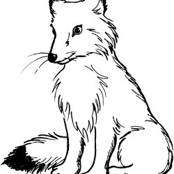 Free Printable Fox Coloring Pages For Kids Cute Animal Drawing Pictures