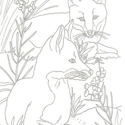 Eminent Fox Printable Coloring Pages Customize And Print Pretty