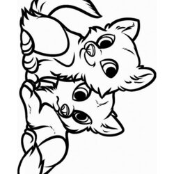 Legit Fox Coloring Pages Kids Time Fun Places To Visit And Free