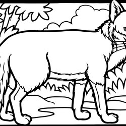 Brilliant Red Fox Coloring Page Free Printable Home Pages