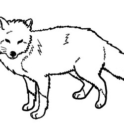 Wizard Free Printable Fox Coloring Pages For Kids Red Line Print Arctic Foxes Color Baby Drawing Animal