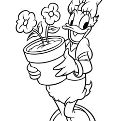 Magnificent Daisy Duck Coloring Pages Flowers Minnie Para Potted