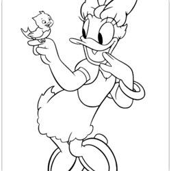 Terrific Printable Daisy Duck Coloring Pages Bird Greeting